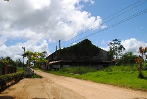 Peperpot plantage Suriname Commewijne