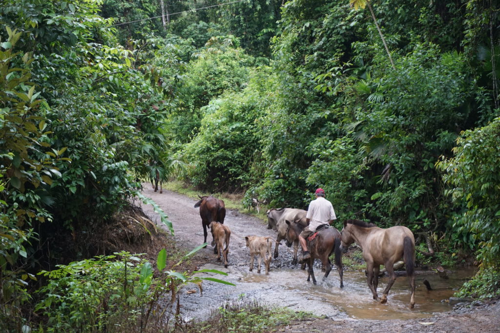 Costa Rica platteland