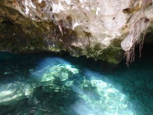 Cenotes Mexico