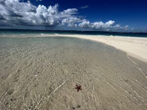 Zanzibar strand